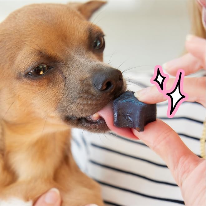 Dog Dental Chews for Fresh Breath & Clean Teeth 28 Chews G413744