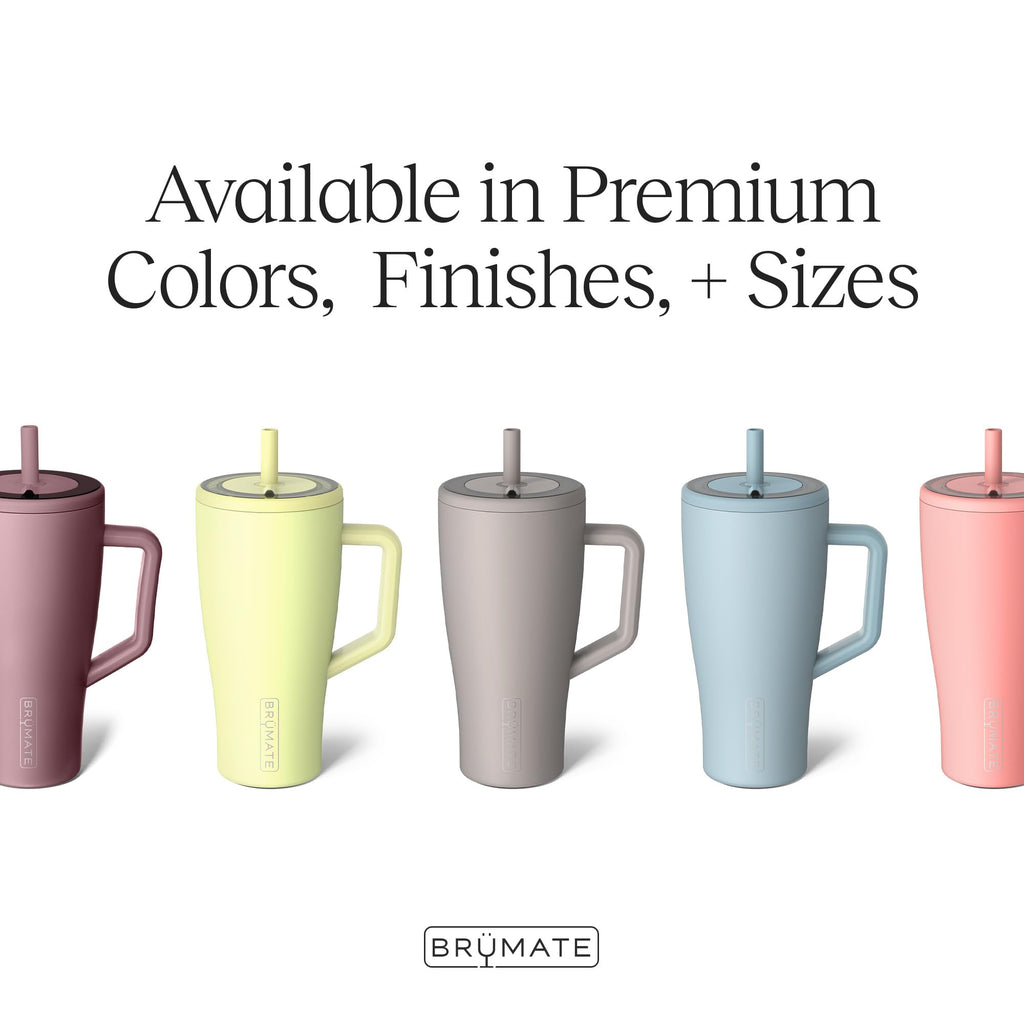 40 oz Stainless Steel Tumbler with Handle and Straw C4077