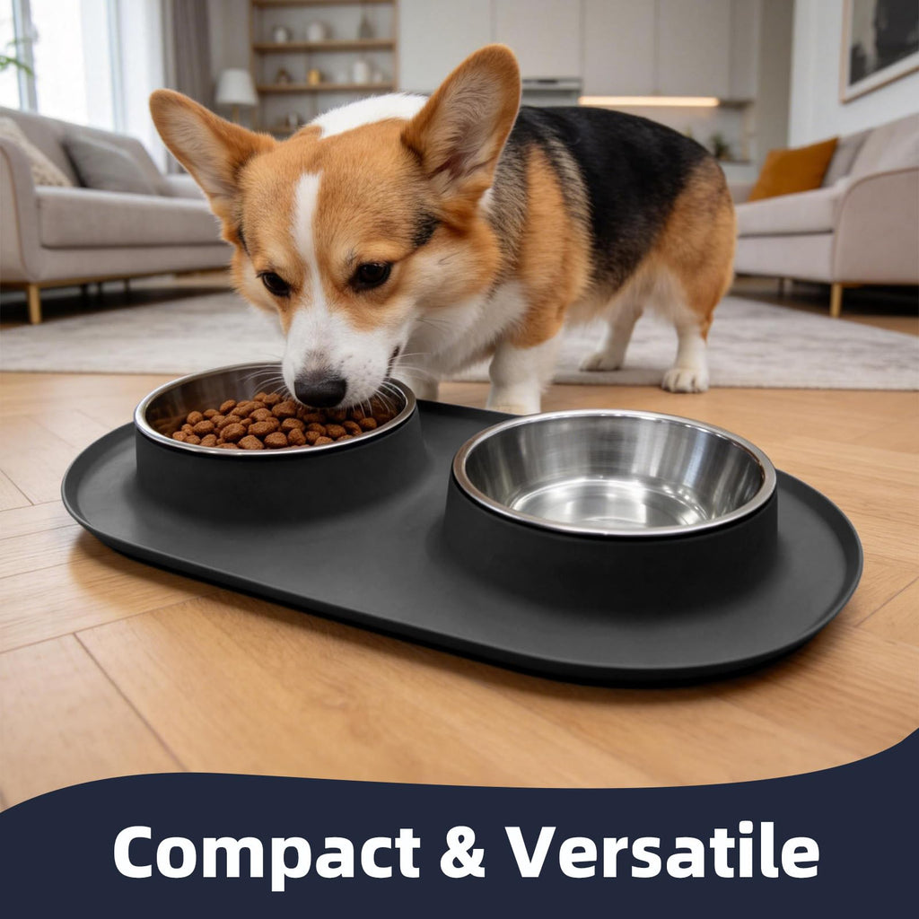 Stainless Steel Cat Food Bowls with Non-Slip Mat, 1.5 Cups Each E43285