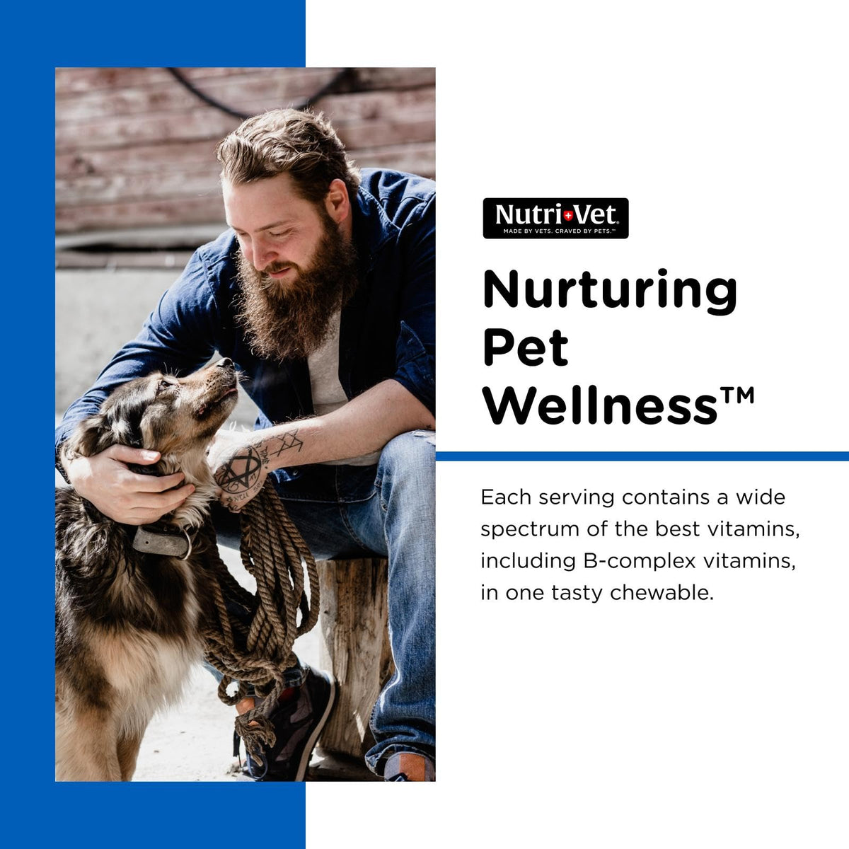 Dog Multivitamin 180 Count H299372