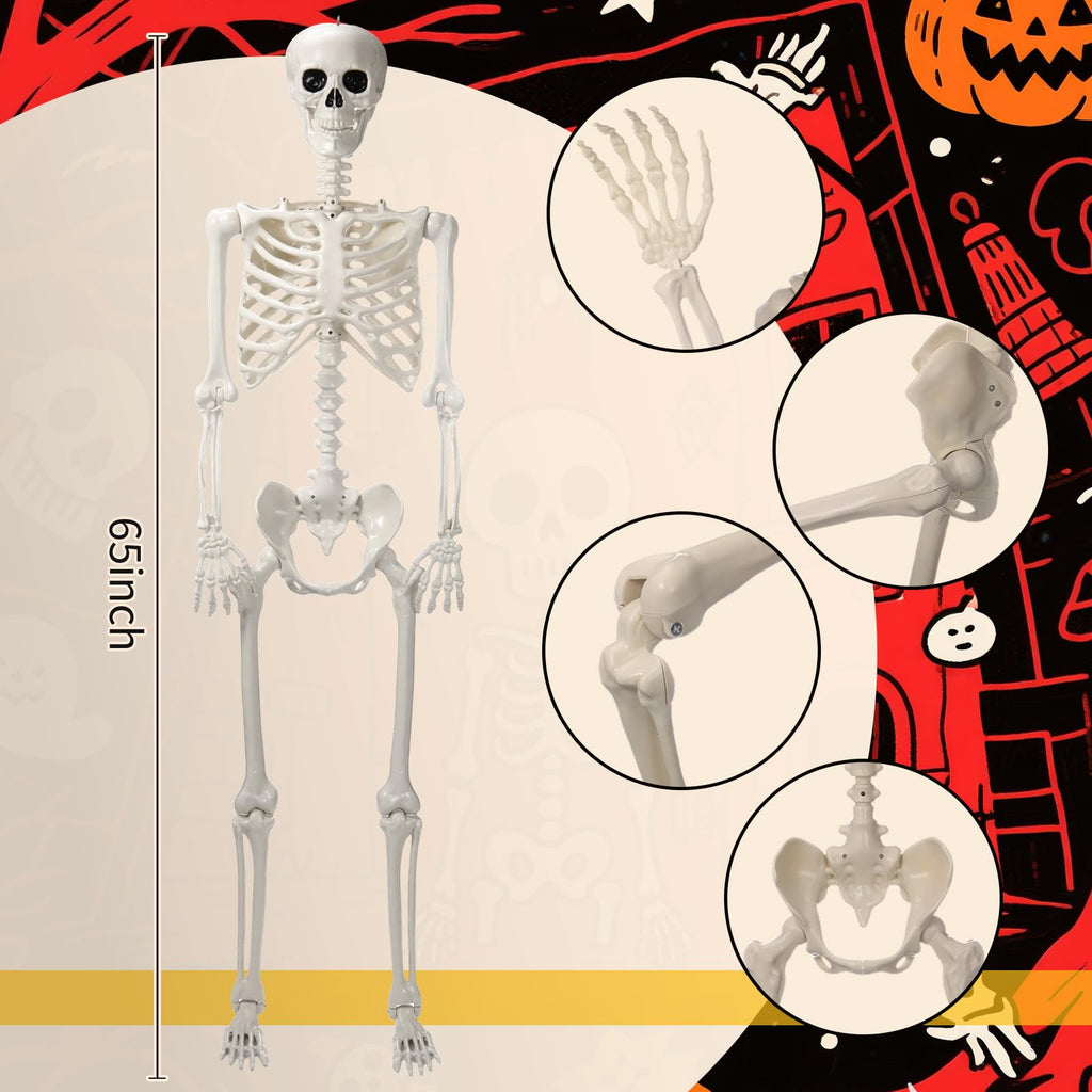 5.4 ft Posable Skeleton with 2 Pack Metal Signs P316
