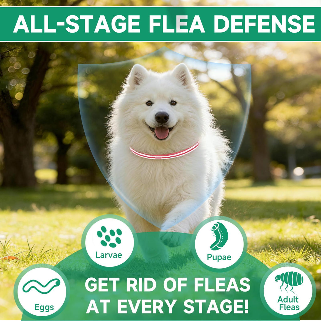 4 Pack Flea and Tick Collar for Dogs H951