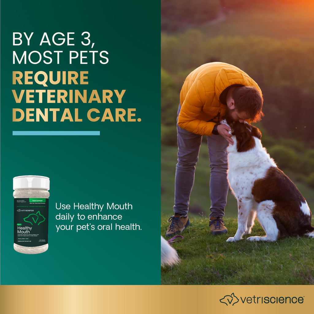 Dental Care Powder for Dogs and Cats, 4.2 oz I35543