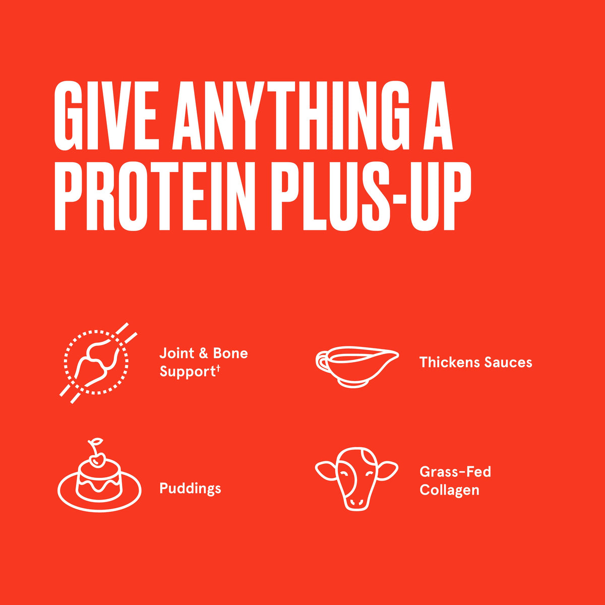 Gelatin with Collagen Protein 16 Ounces K418