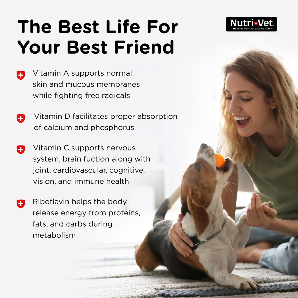 Dog Multivitamin 180 Count H299372