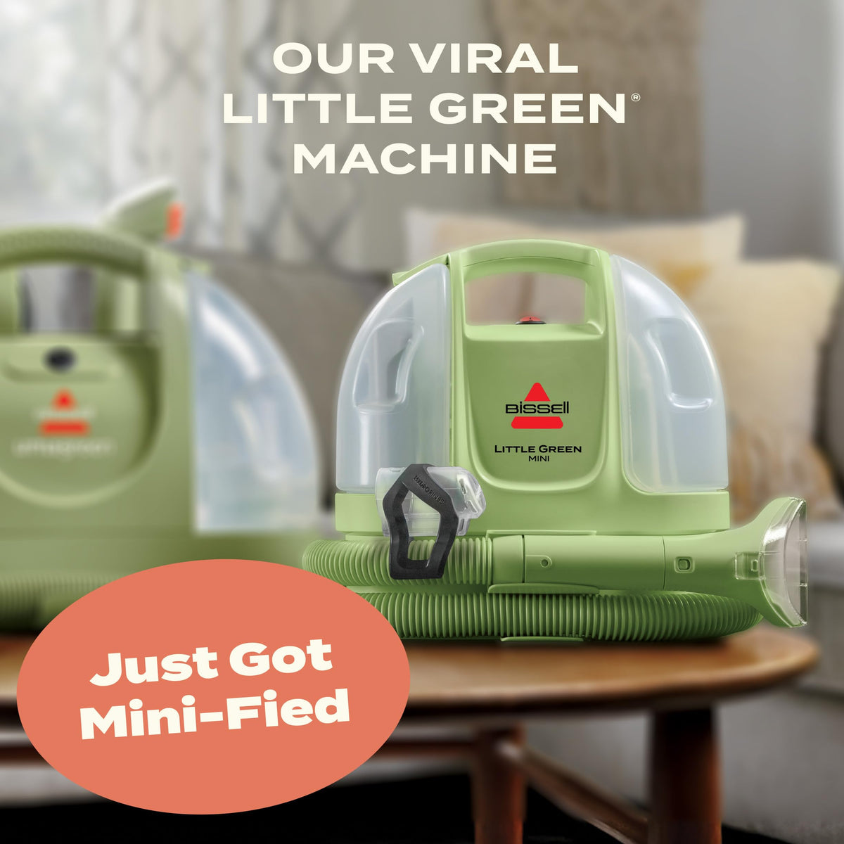 Portable Carpet Cleaner J1903
