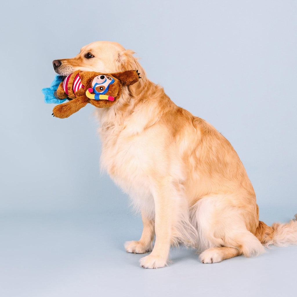 Plush Dog Toy A862