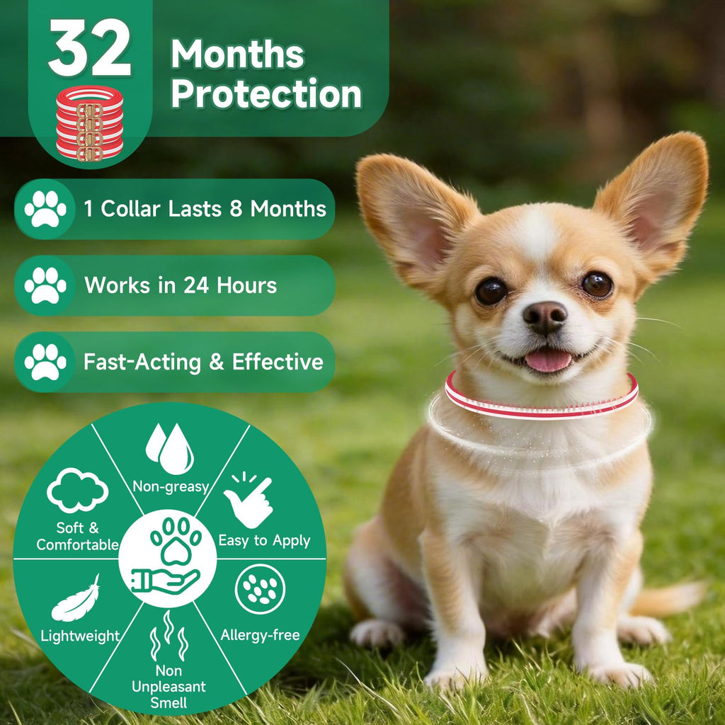 4 Pack Flea and Tick Collar for Dogs H951