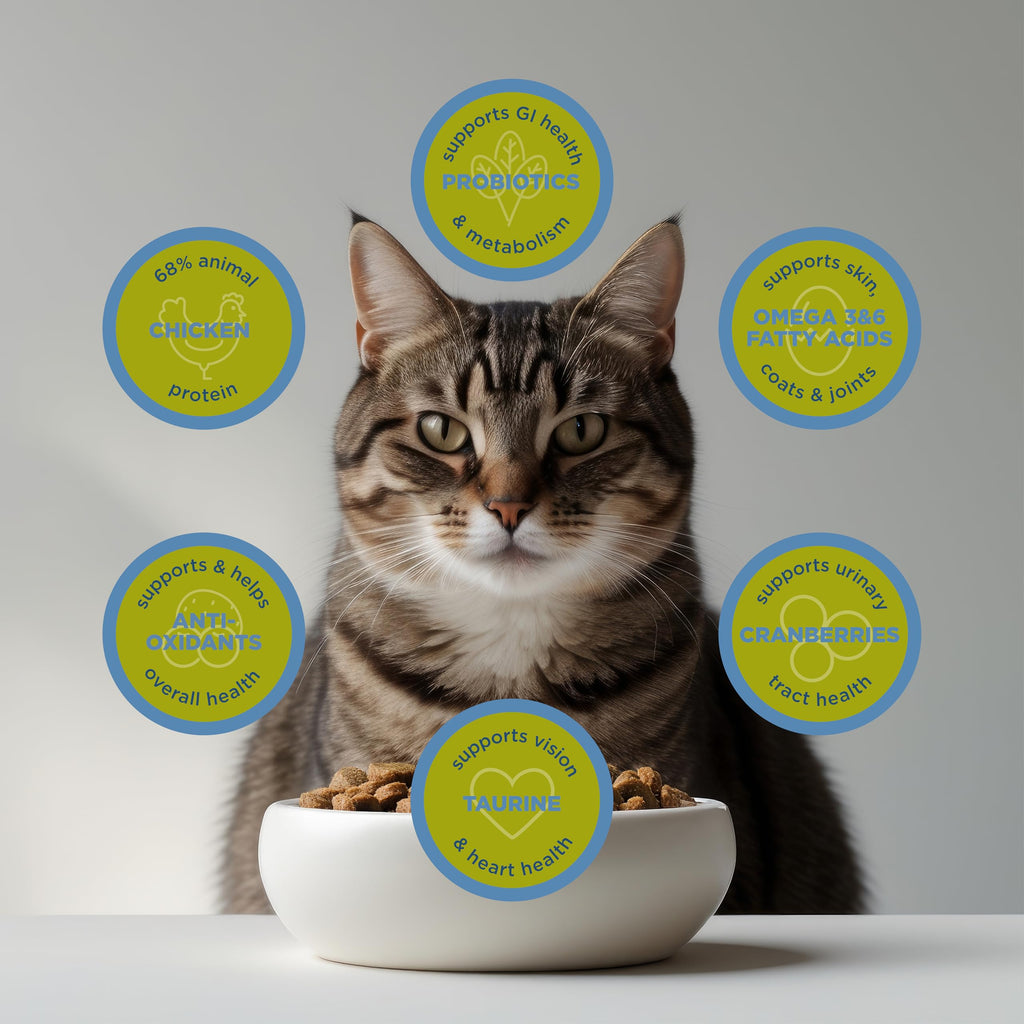 Dry Cat Food, Chicken Meal & Brown Rice, 4 lb R55113