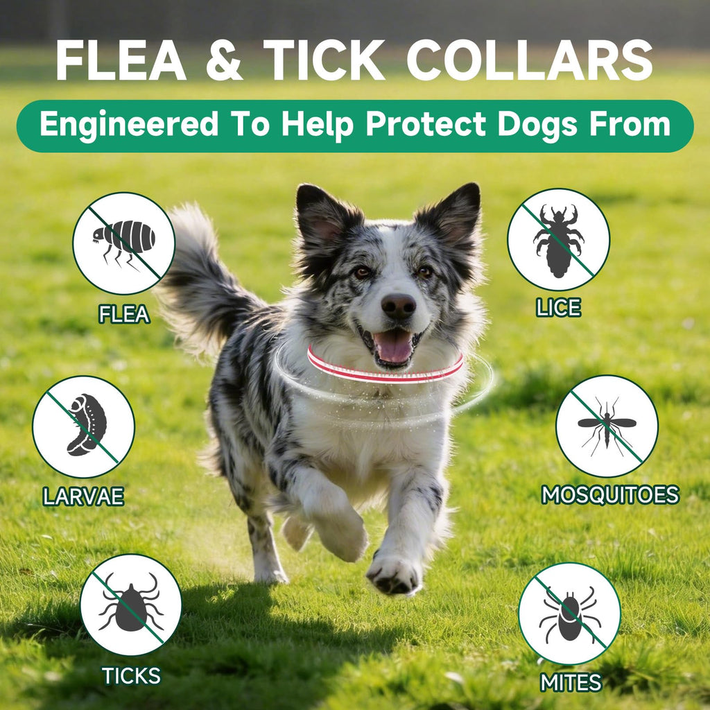 4 Pack Flea and Tick Collar for Dogs H951