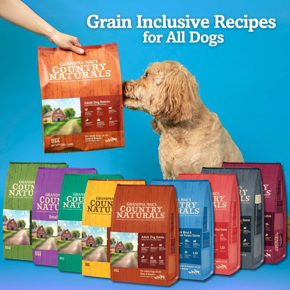 Chicken & Brown Rice Dry Dog Food 24 LB Bag D65453