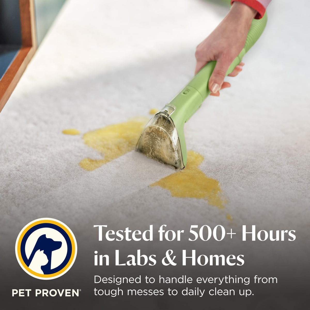 Portable Carpet Cleaner J1903