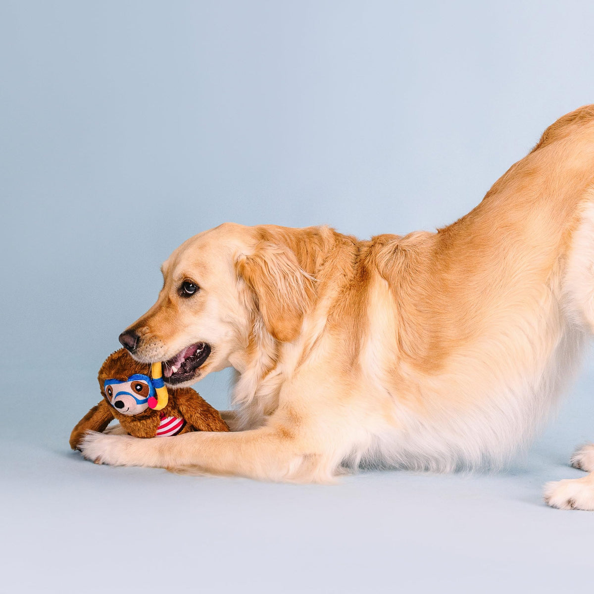 Plush Dog Toy A862