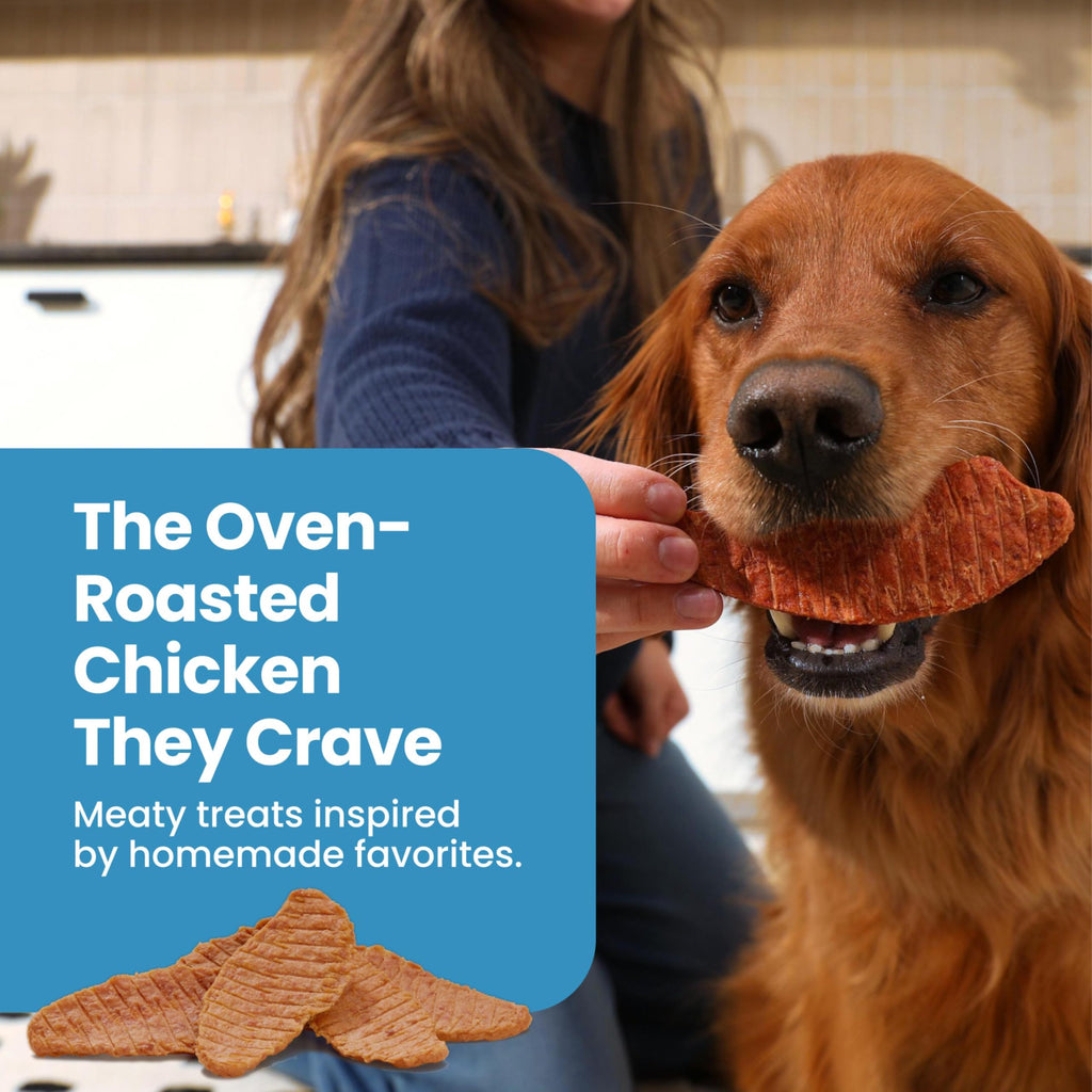 Chicken Dog Treats 36 oz N81012
