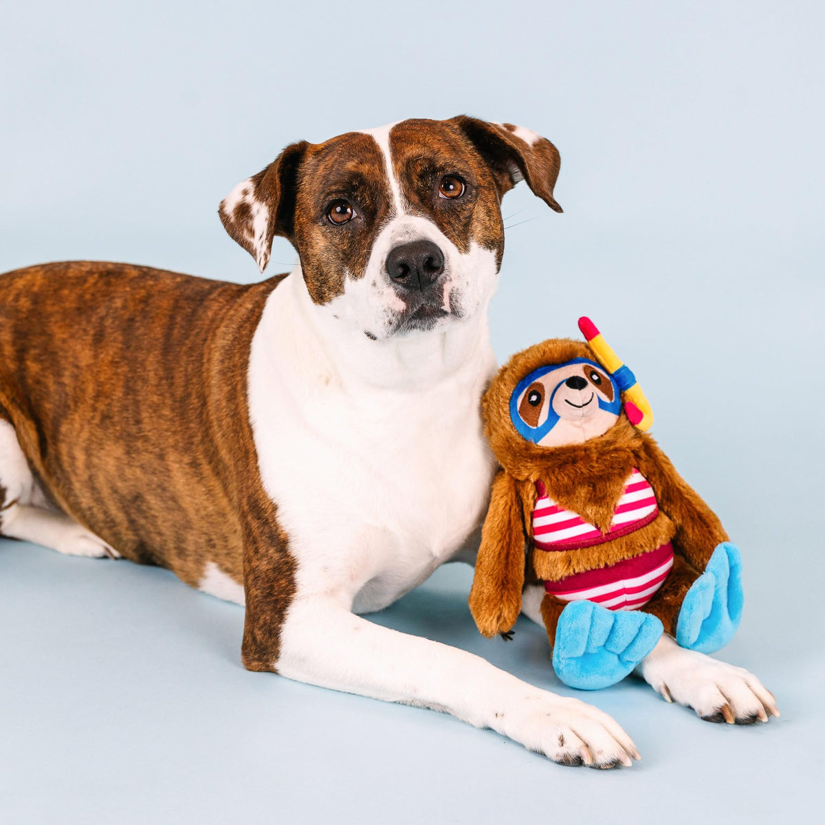 Plush Dog Toy A862