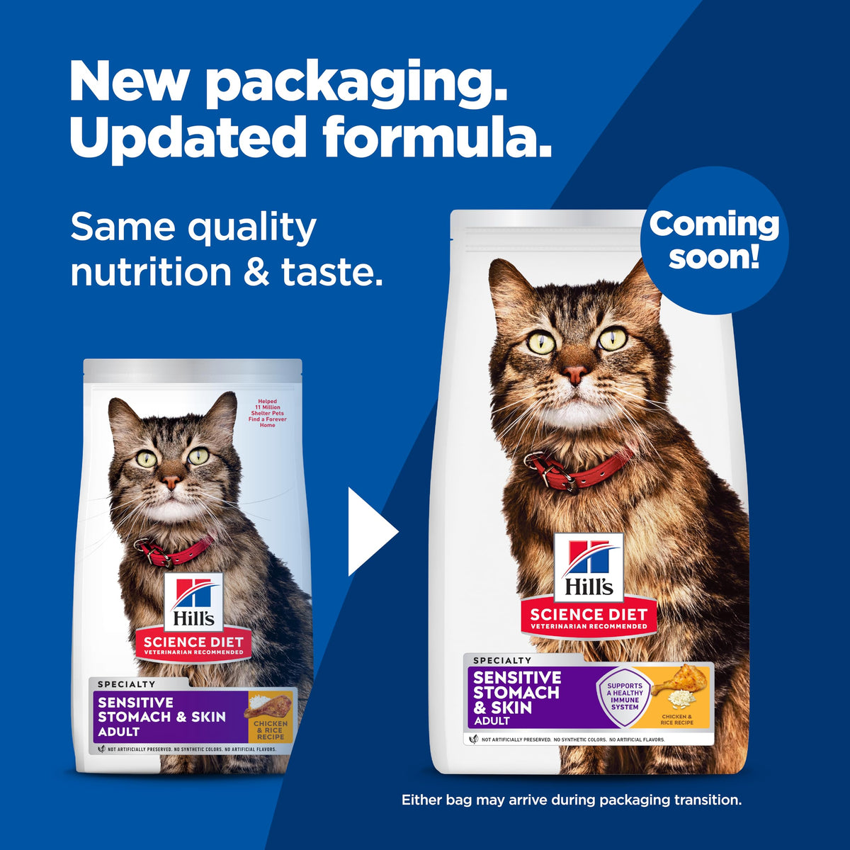 Sensitive Stomach & Skin Dry Cat Food C14426