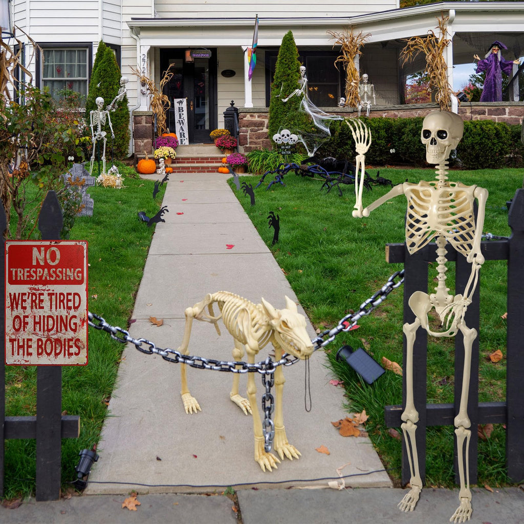 5.4 ft Posable Skeleton with 2 Pack Metal Signs P316