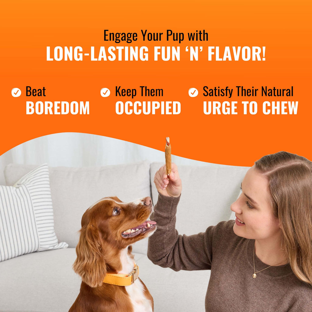 Long-Lasting Dog Treat for Large Dogs, 6 Count E1061