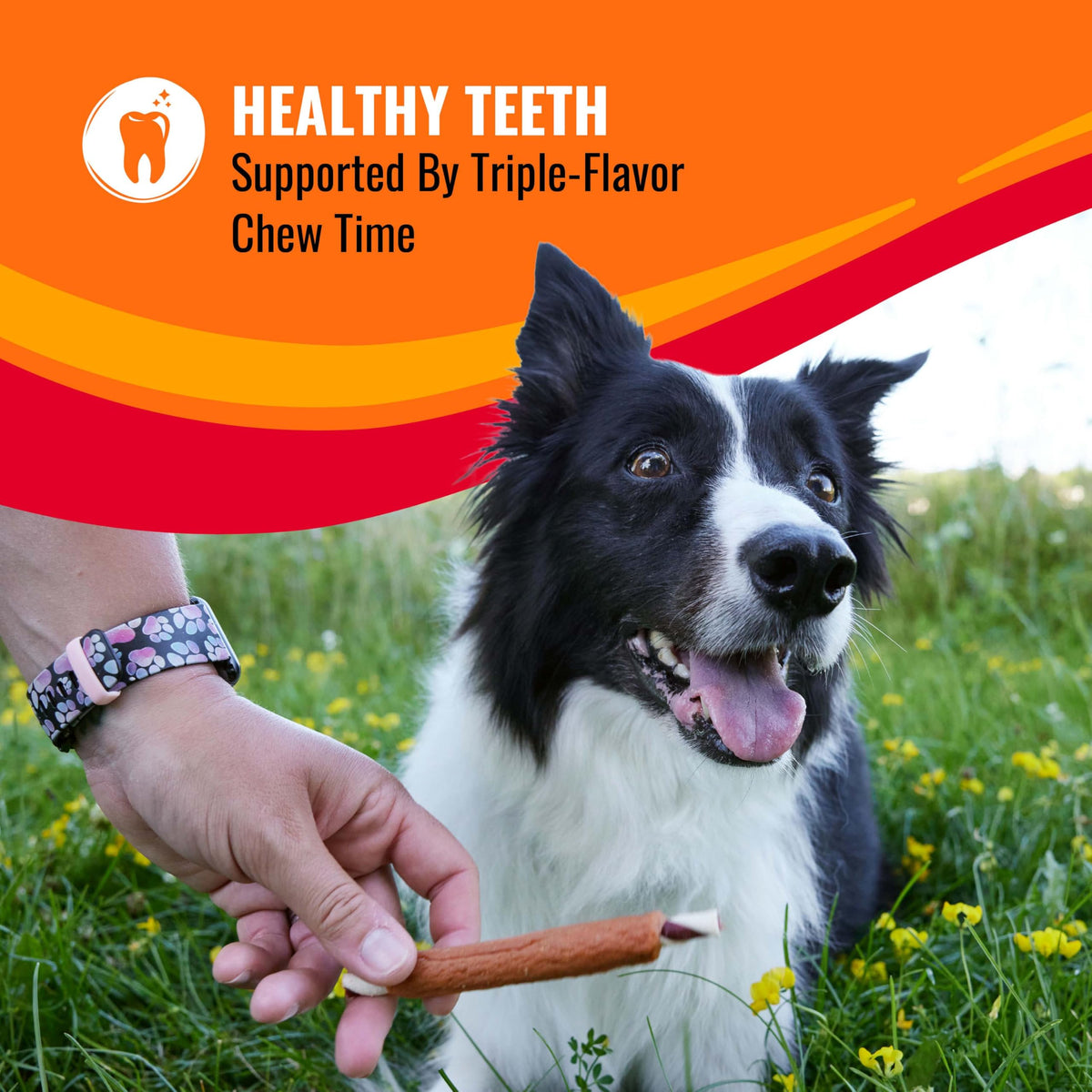 Long-Lasting Dog Treat for Large Dogs, 6 Count E1061