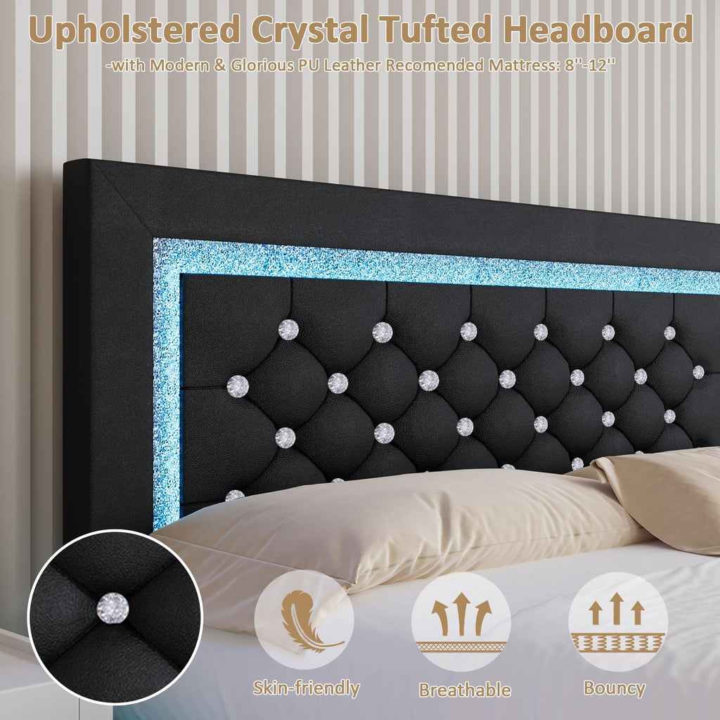 Black Full Floating Bed Frame with LED Lights and Tufted Headboard U208453