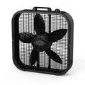 Black 20" Box Fan P229649