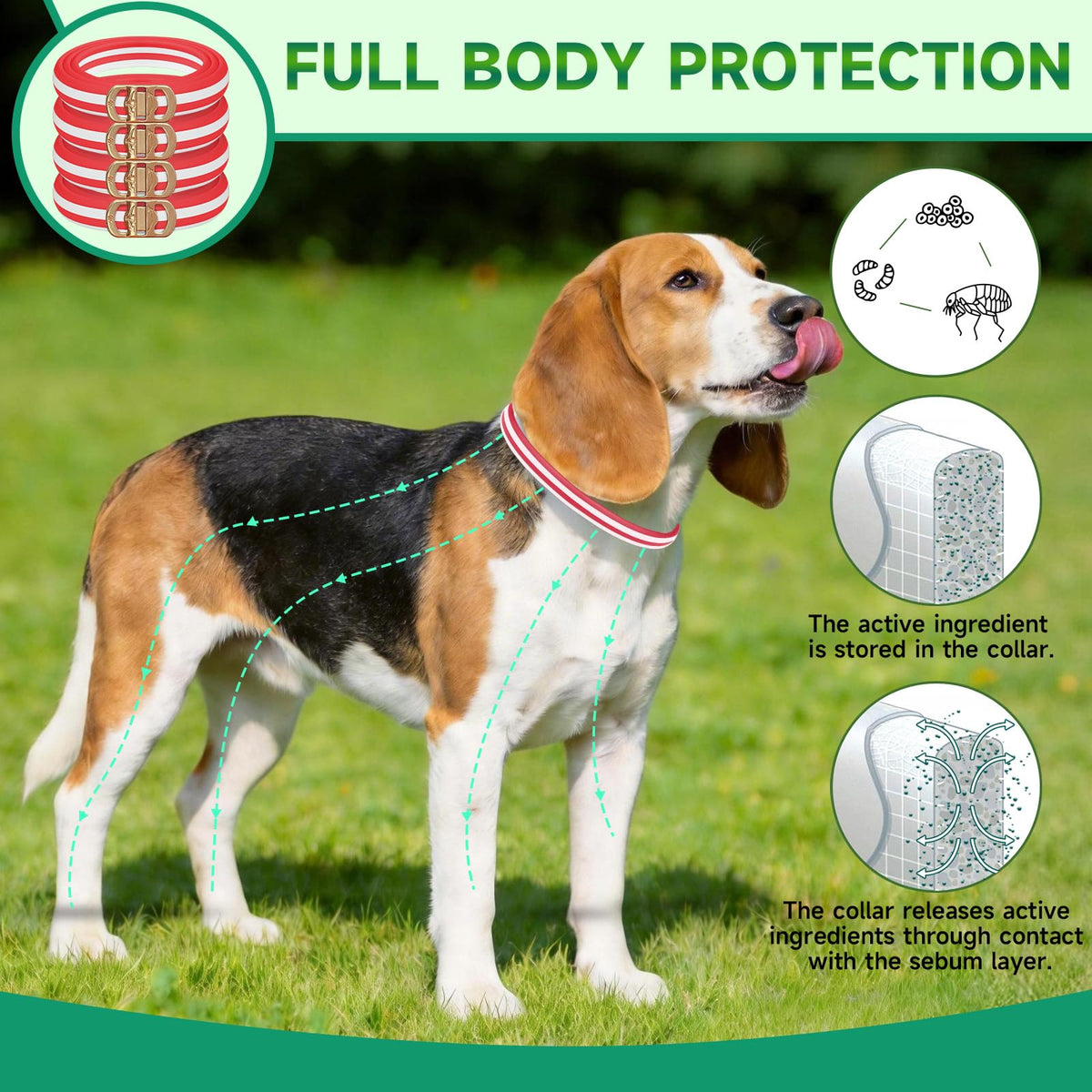 4 Pack Flea and Tick Collar for Dogs H951