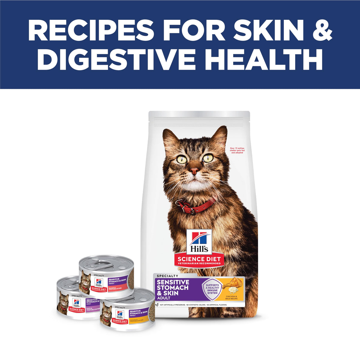 Sensitive Stomach & Skin Dry Cat Food C14426