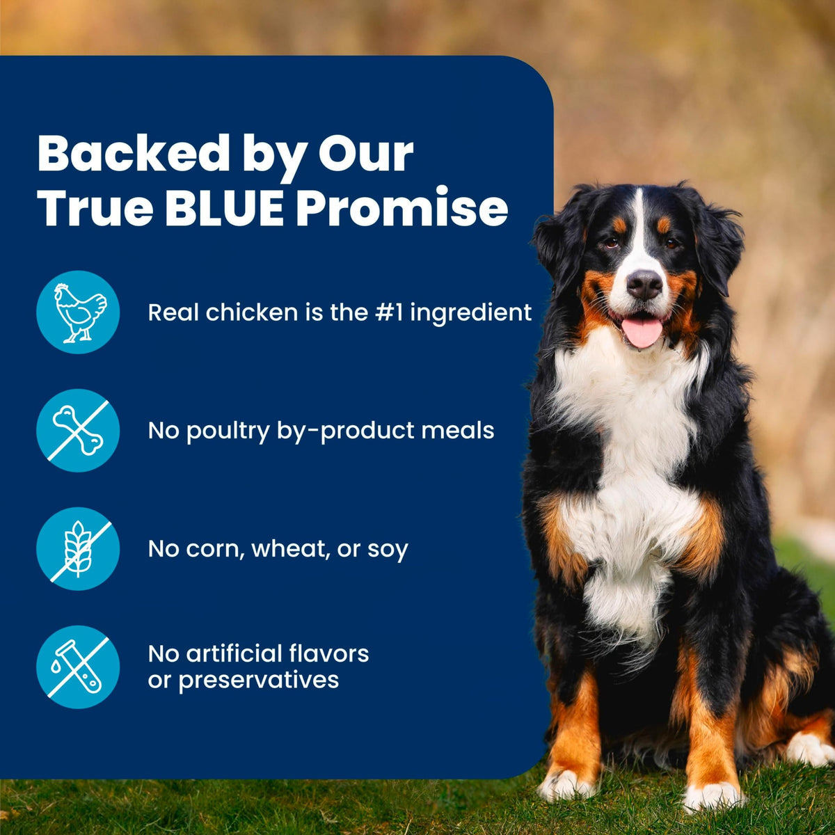 Chicken Adult Dry Dog Food 5 lb F3974
