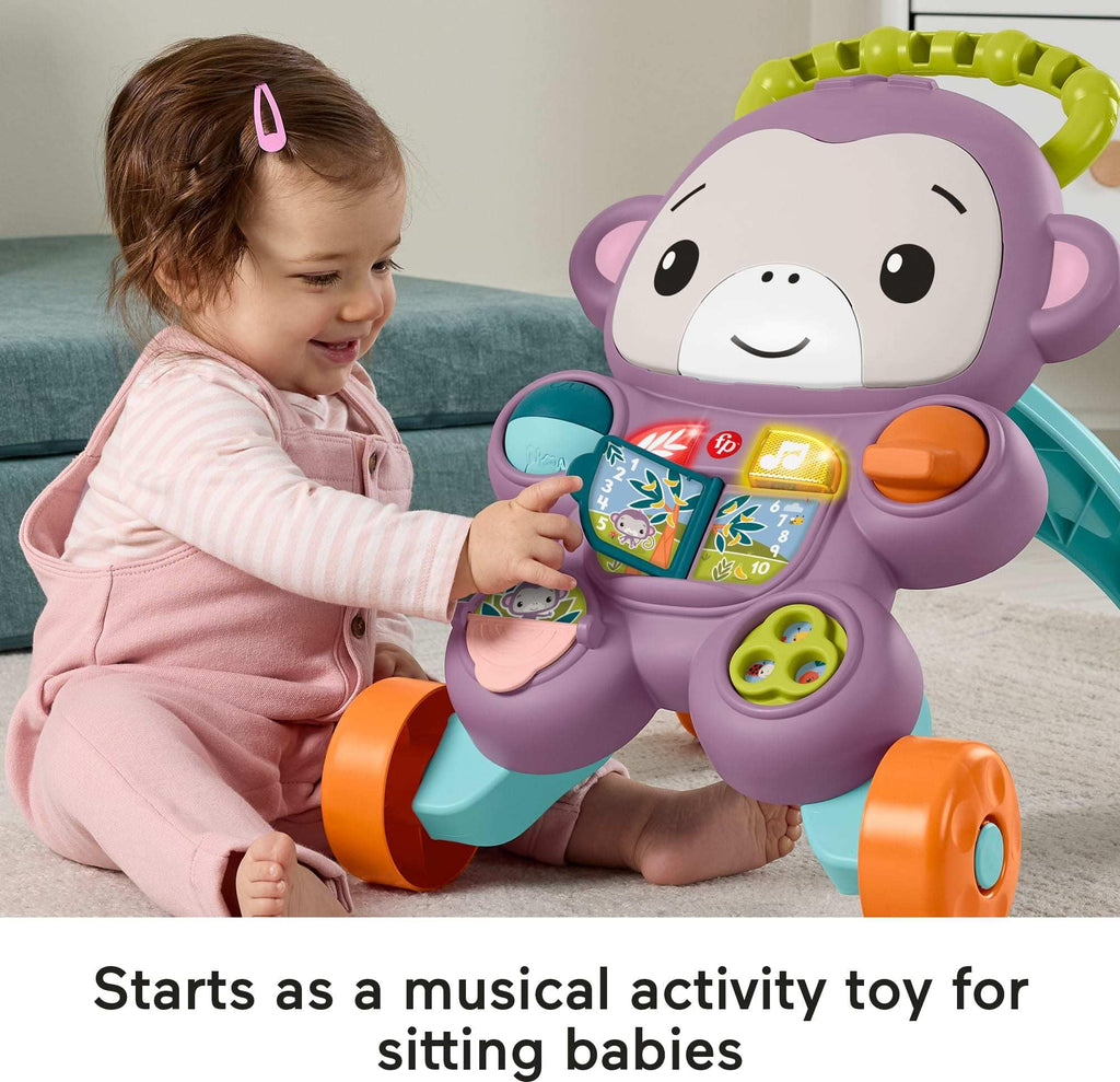 Purple Monkey Baby Walker with Music Lights & Activities V92578