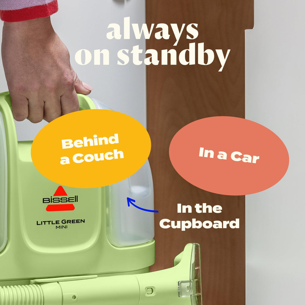 Portable Carpet Cleaner J1903