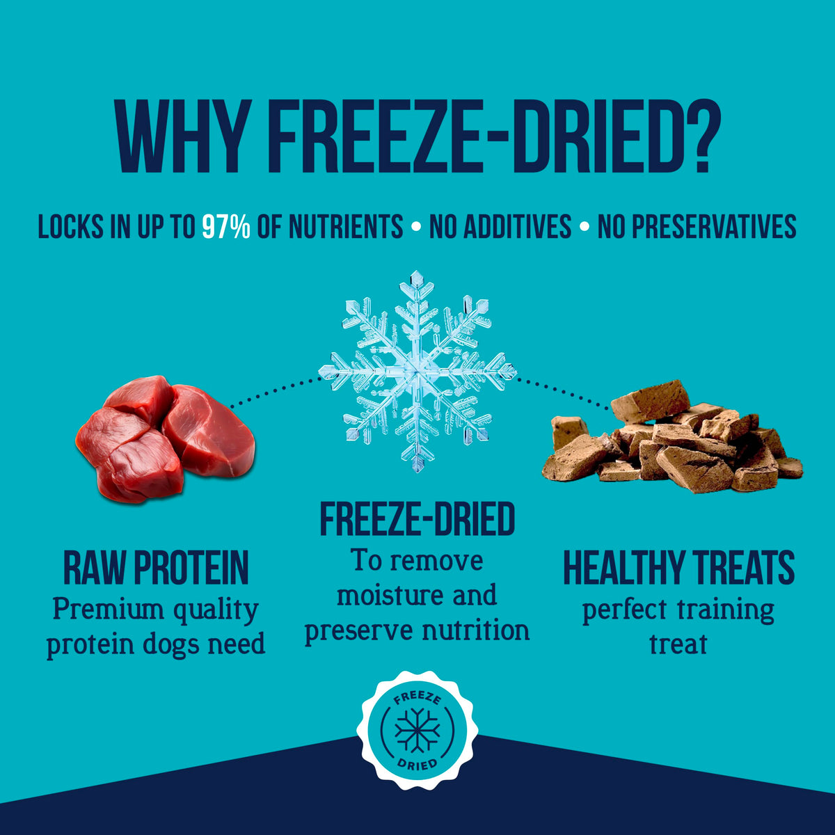 Freeze Dried Beef Liver Dog Treats 21 oz Tub Z8522