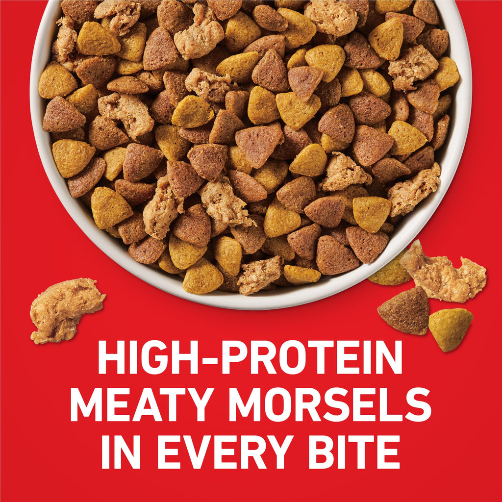 Chicken & Rice Formula Dry Dog Food 8 lb Bag D7247