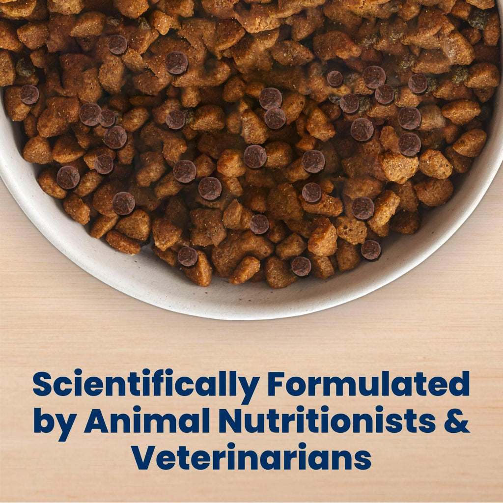 Chicken Adult Dry Dog Food 5 lb F3974